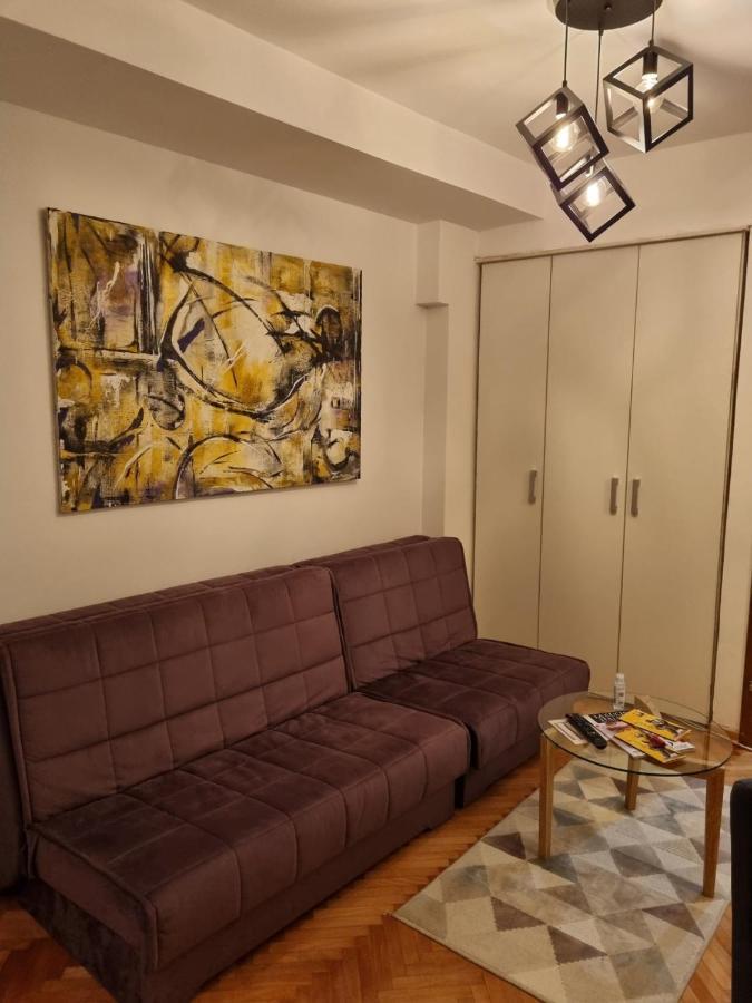 Apartman Veselinovic Free Parking Vranje Bagian luar foto