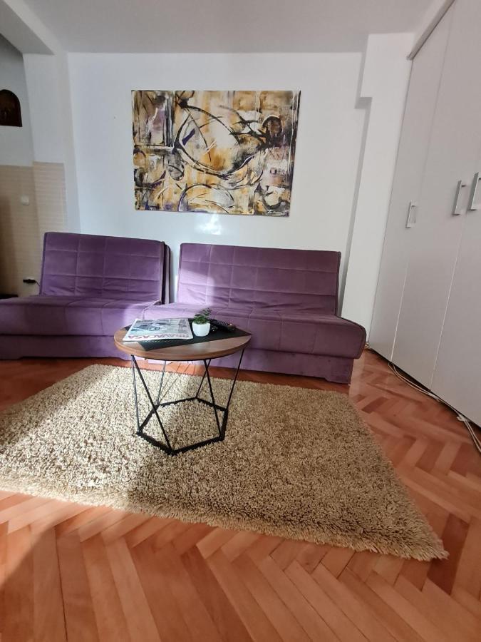 Apartman Veselinovic Free Parking Vranje Bagian luar foto