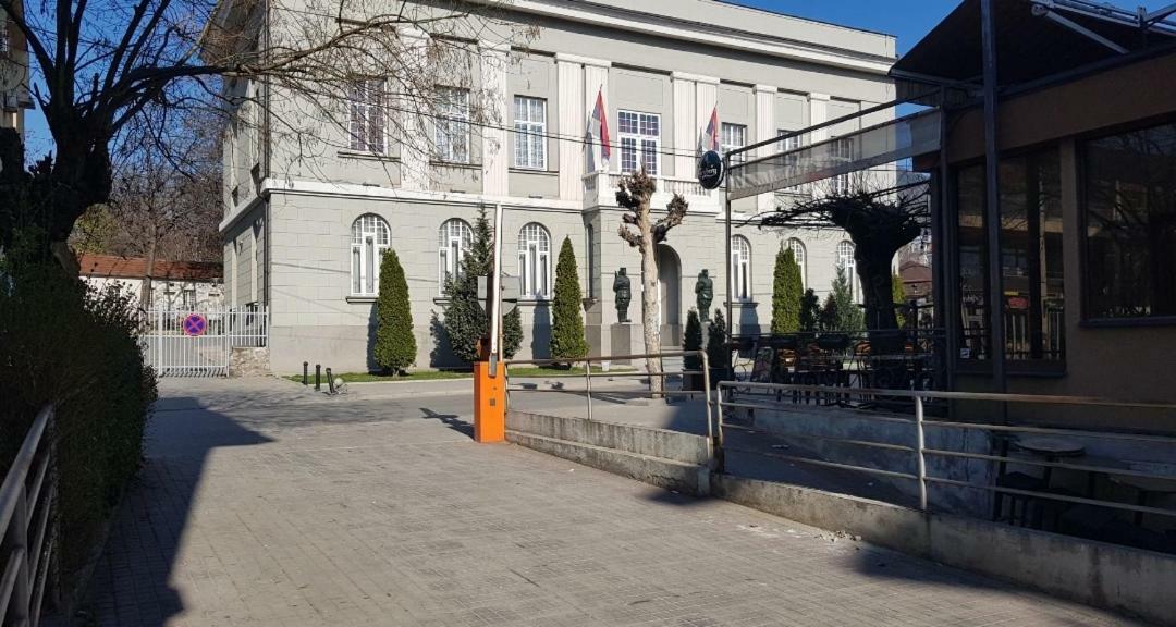 Apartman Veselinovic Free Parking Vranje Bagian luar foto